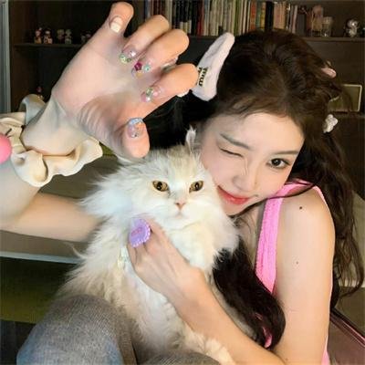 灰姑娘的故事3